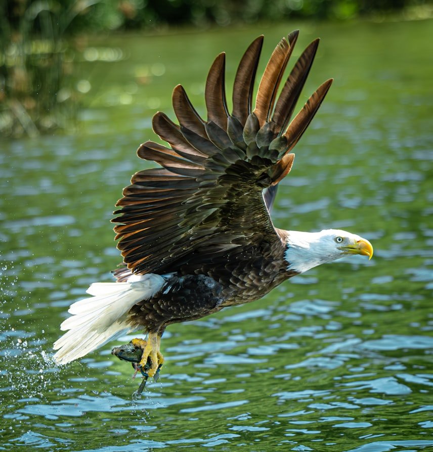 Warme minimalistische Dekoration